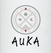 2013 San Polo - Auka Malbec