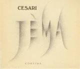 2009 Cesari - Jema